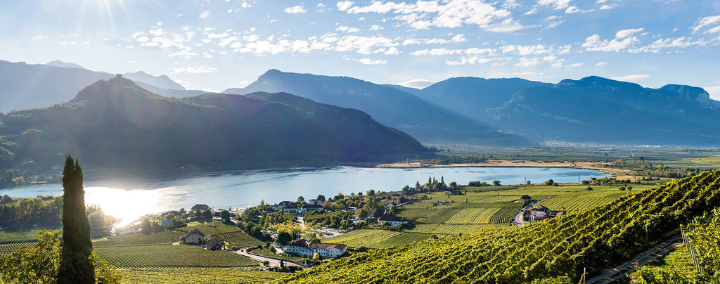 Wein aus Südtirol - Eine exzellente Kombination aus Tradition und Moderne